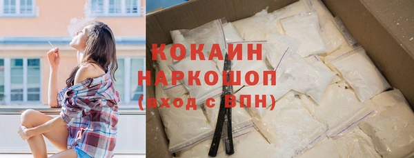 гидропоника Богданович