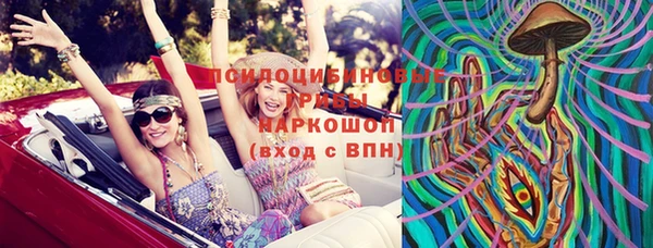 гидропоника Богданович