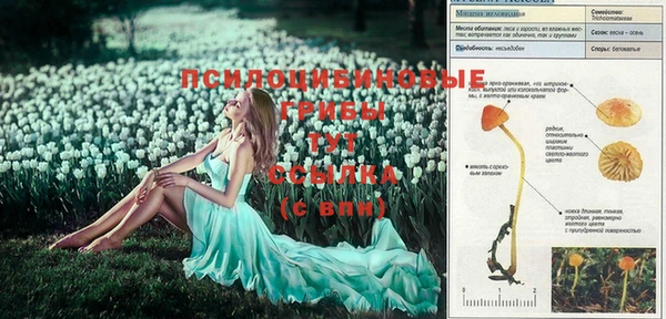 гидропоника Богданович