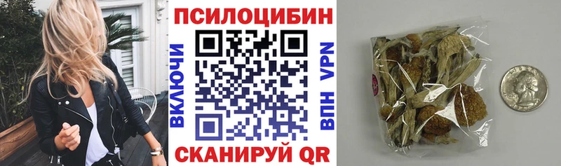 Галлюциногенные грибы MAGIC MUSHROOMS  где купить наркотик  мега онион  Бирюч 